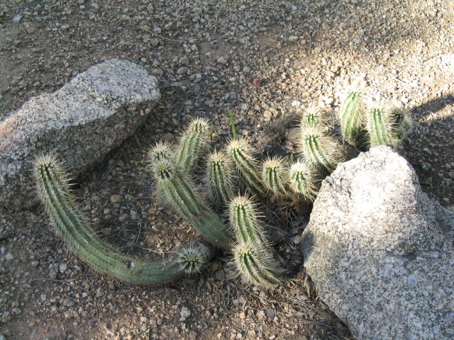 618x457 pixels (290K)